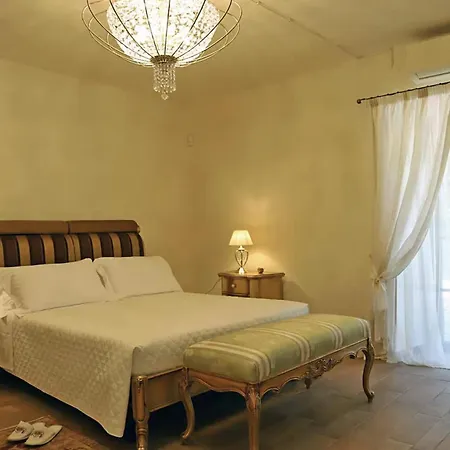 Vineyard By Belcanto